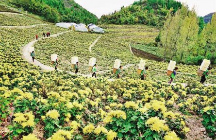 重慶云陽：圍繞三個“好” 精準發(fā)力助脫貧
