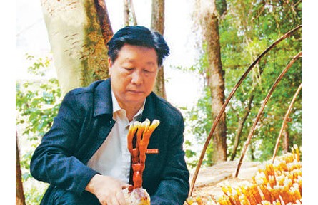 《山海情》蘑菇專家原型、“最美教師”林占熺：心心念念的，永遠(yuǎn)是菌草