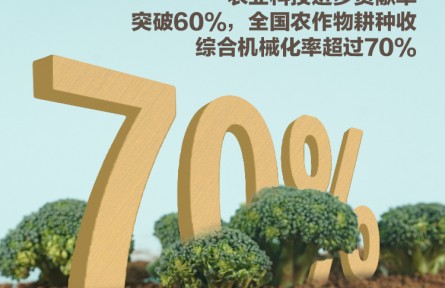 中國產(chǎn)糧能力有多強？這些數(shù)據(jù)告訴你答案