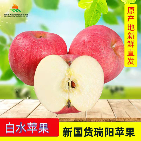 陜西白水蘋果新國(guó)貨瑞陽蘋果水果禮盒