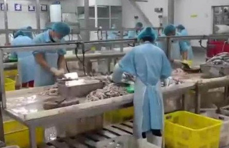 豐收中國·江蘇如皋：小黑魚“游”出完整產業(yè)鏈