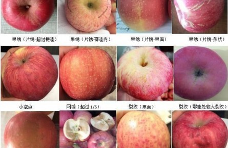 92、成果名稱：蘋果商貿(mào)流通質(zhì)量分級(jí)檢驗(yàn)與標(biāo)準(zhǔn)化控制