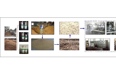 77、成果名稱：蘋果渣高值綜合利用關(guān)鍵技術(shù)