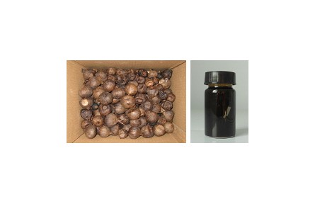 79、成果名稱：黑蒜汁及副產(chǎn)物綜合利用技術(shù)