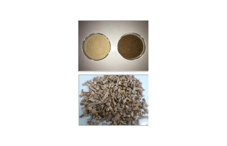 72、成果名稱：香菇柄多糖蒸汽爆破預(yù)處理技術(shù)