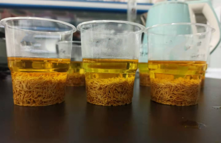 ?53、成果名稱：牡丹花蕊汽爆速溶茶加工技術(shù)