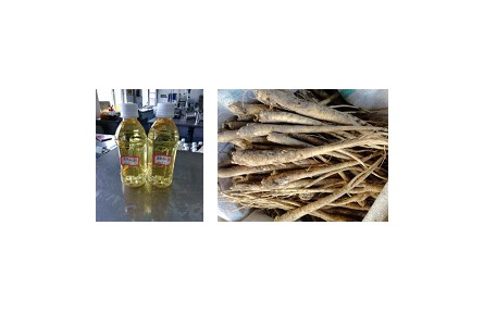 38、成果名稱：澄清型桔梗汁加工關(guān)鍵技術(shù)