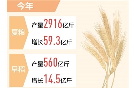 全國秋收進(jìn)度已超八成 糧食生產(chǎn)將迎十八連豐