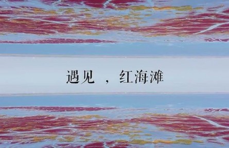 世界最大的紅海灘，在中國