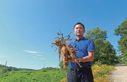 湖北襄陽尹為：返鄉(xiāng)創(chuàng)業(yè)種葛根 帶領(lǐng)鄉(xiāng)親一起富