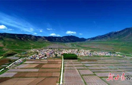甘肅：統(tǒng)籌推進疫情防控和高標準農(nóng)田建設