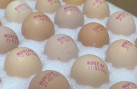 江蘇淮安盱眙縣鮑集鎮(zhèn)鄒黃村：打碼的雞蛋，新鮮看得見！?