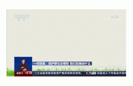 熊貓大事件：五個(gè)數(shù)！看遍祖國的綠水青山