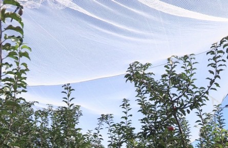 遼寧開(kāi)原：新“武器”亮相果園 保產(chǎn)增效助果農(nóng)增收