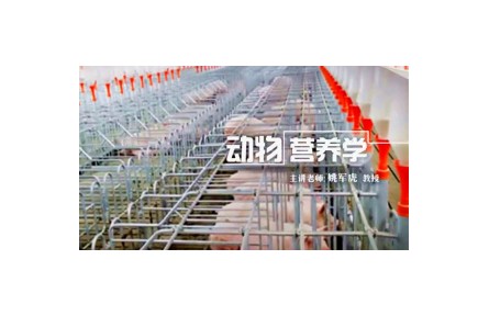 1.1.1 動(dòng)物營養(yǎng)學(xué)的基本內(nèi)涵及對(duì)動(dòng)物生產(chǎn)的指導(dǎo)作用