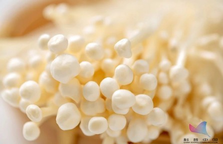 平時吃的金針菇，其實多是銀針菇？兩者有何不同？