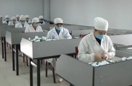 河北：從賣“原字號”到賣制成品 農(nóng)業(yè)龍頭項(xiàng)目助力鄉(xiāng)村振興