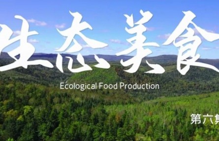 美麗中國·The Great Beauty of China: Ecological Food Production