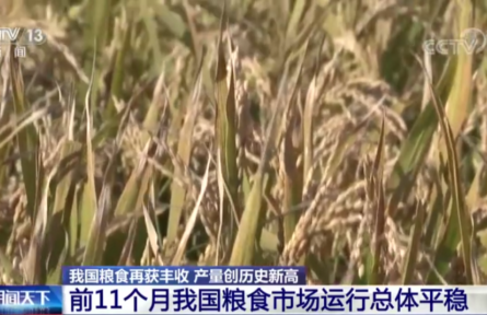 農業(yè)農村部：我國糧食市場運行總體平穩(wěn)