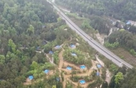 貴州紫云：發(fā)展林下經(jīng)濟 讓綠水青山變成金山銀山