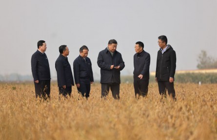 中央農(nóng)村工作會(huì)議部署糧食安全，總書記為何強(qiáng)調(diào)“責(zé)任”兩個(gè)字