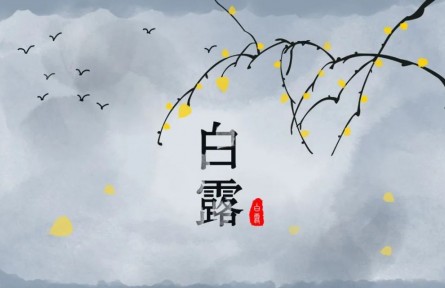 白露，繁華季節(jié)的謝幕