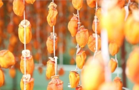 陜西丹鳳東樓村：美味柿餅等你來購(gòu)