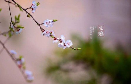 立春，春到人間草木知