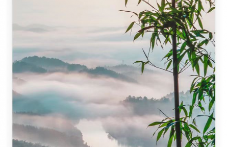 名人名言 | 孔子：其身正，不令而行；其身不正，雖令不從