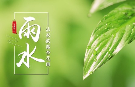 雨水，沾衣欲濕杏花雨