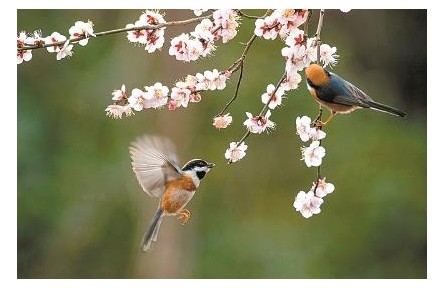 二十四節(jié)氣：古詩詞里的“時(shí)間美”