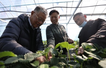 “全國脫貧攻堅楷?！壁w亞夫：帶民同致富，把成績寫在大地上
