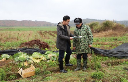 江西樂安：“查農(nóng)情、知農(nóng)需” 氣象服務送下鄉(xiāng)