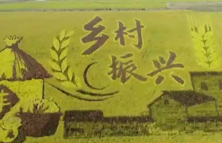 【奮進(jìn)新征程 建功新時代】山東：加快農(nóng)業(yè)新舊動能轉(zhuǎn)換 建設(shè)現(xiàn)代農(nóng)業(yè)強(qiáng)省