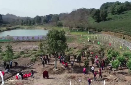 2022年全國(guó)計(jì)劃植樹造林5006萬(wàn)畝