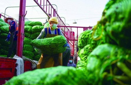 線上建群保供，線下備貨配送！上海全力以赴保障“菜籃子”供應(yīng)