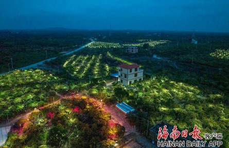 海南?？冢嚎萍假x能 助力鄉(xiāng)村振興