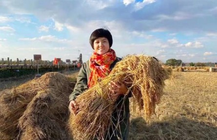 全國三八紅旗手陳雨佳：黑土地上的“新農人”