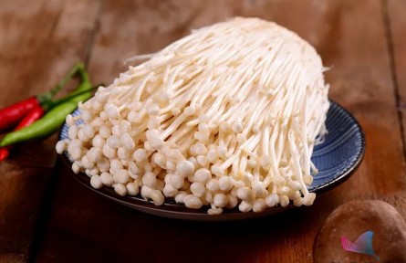辟謠 | 金針菇為什么叫“明天見”？吃了等于白吃？原來一直誤會(huì)它了