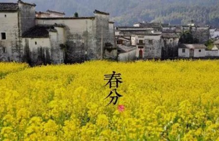 春暖花開(kāi)，今日春分