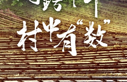 網跨千年，村中有“數”——“數字鄉(xiāng)村”賦能西部發(fā)展觀察