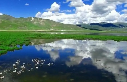 青海：堅定不移做“中華水塔”守護人