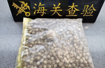 海關科普：從國外引進植物種子的檢疫流程