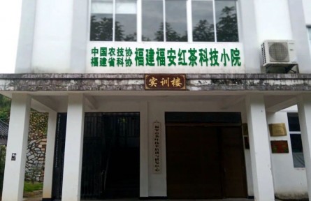 福建福安紅茶科技小院成立 促進茶產業(yè)高質量發(fā)展