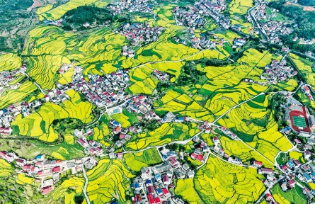 《求是》雜志編輯部：做好新發(fā)展階段“三農(nóng)”工作的行動綱領