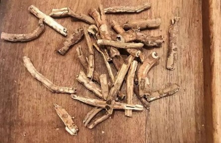 健康問(wèn)答 | 怎樣煎中藥、喝中藥才能獲得好藥效？