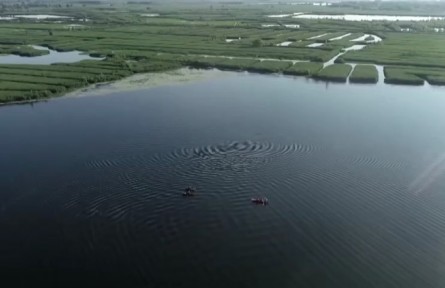 河北：雄安新區(qū)設(shè)立五周年 白洋淀水質(zhì)改善 步入國(guó)家良好湖泊行列