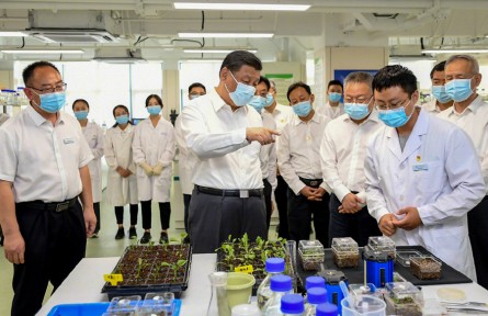 習近平：只有攥緊中國種子，才能端穩(wěn)中國飯碗