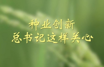 種業(yè)創(chuàng)新，總書記這樣關(guān)心