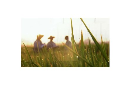 六級大型紀錄片《種子 種子》| 第三集：繁盛沃土